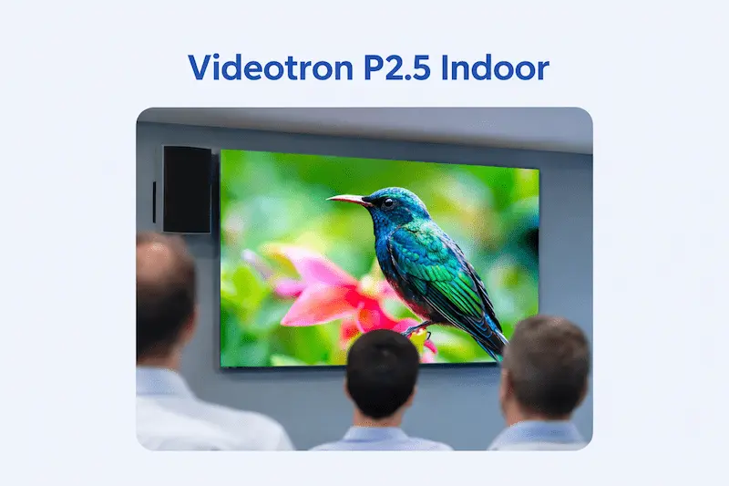 videotron P2.5 indoor dengan tampilan gambar burung resolusi tinggi